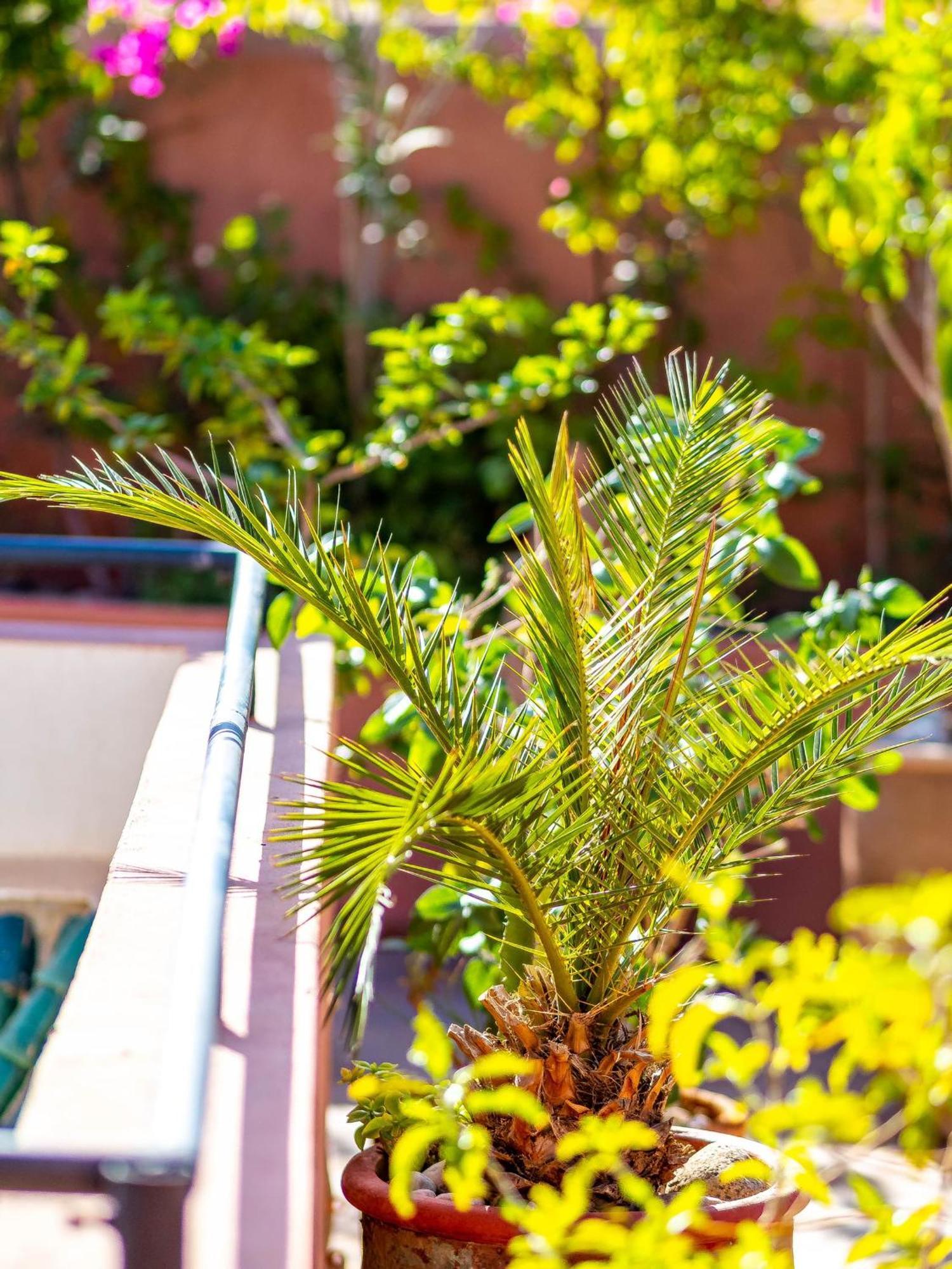 Riad L'Orange Bleue Marrakesh Bagian luar foto